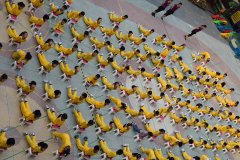公明二幼 “户外运动的组织与实验”交流运动