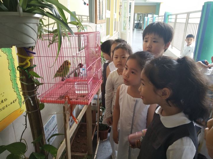 威廉希尔官网动物朋侪